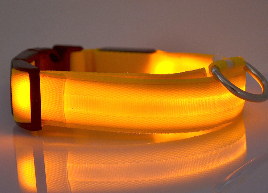LED Light-Up Dog Collar