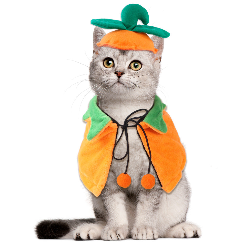 Pumpkin Pet Cloak