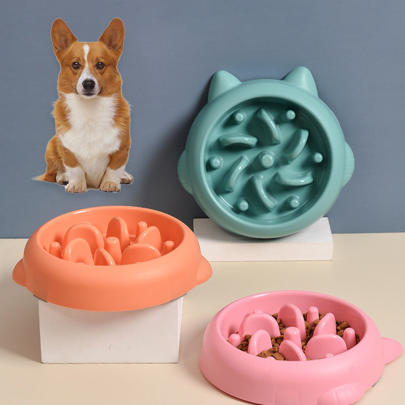 Slow Feeder Dog Bowl