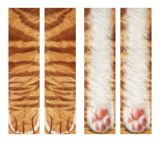 3D Cat Paw Socks
