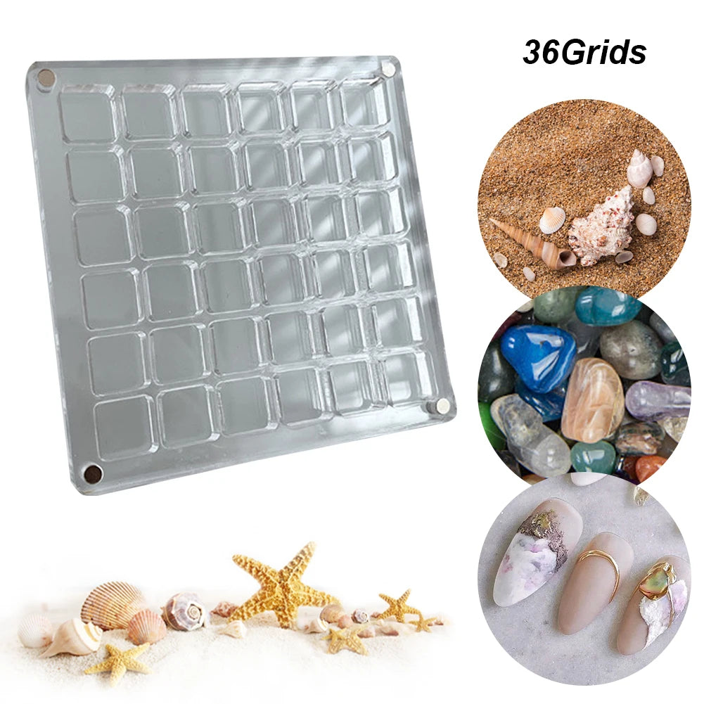 Seashell Display Box