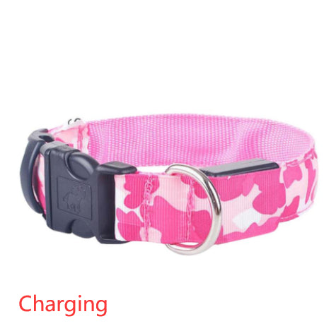LED Light-Up Dog Collar