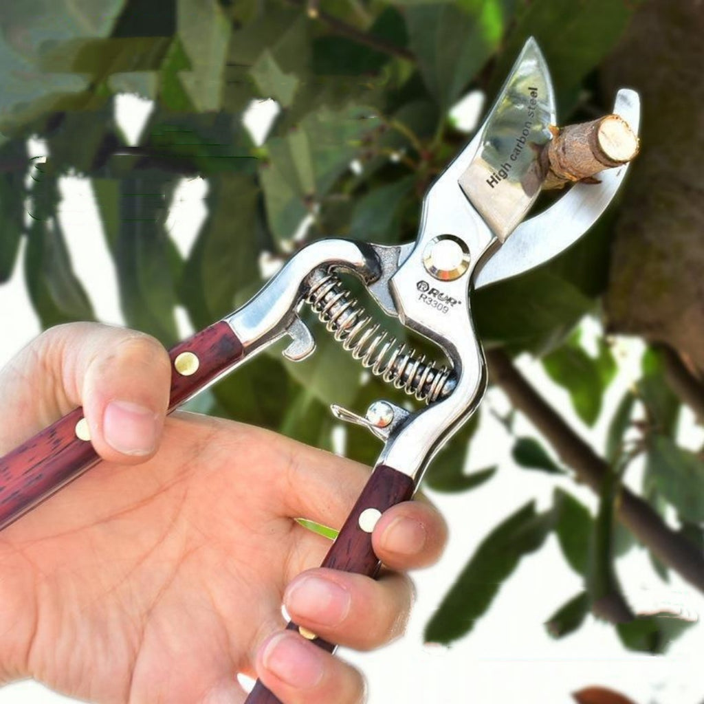 Garden Pruning Shears