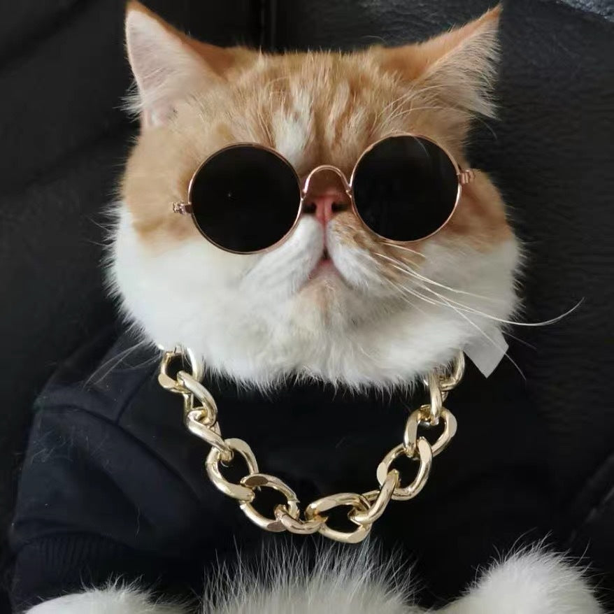 Lion Mane Pet Costume