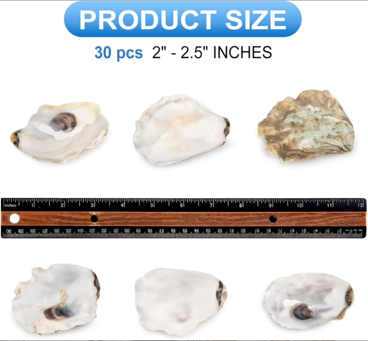 Oyster Shells with Pearls (30 pcs)