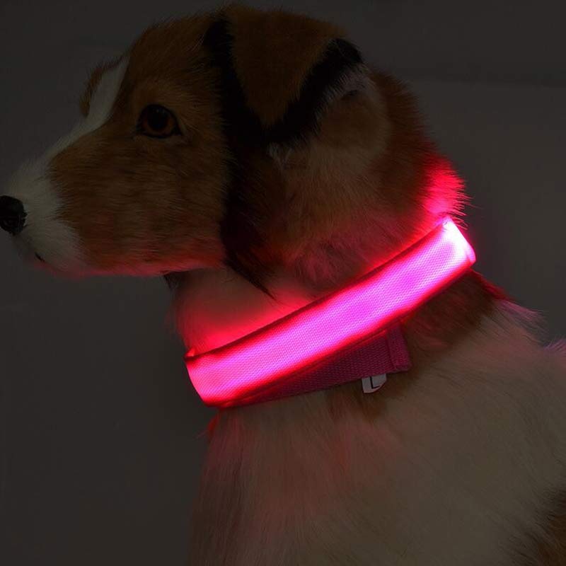 LED Light-Up Dog Collar