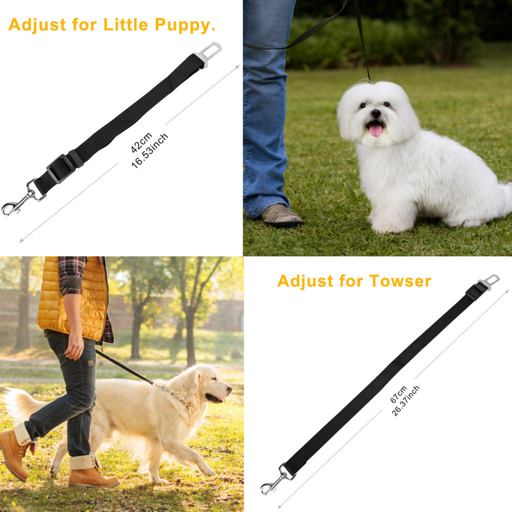 Pet Car Seat Belt Leash (2-Pack)