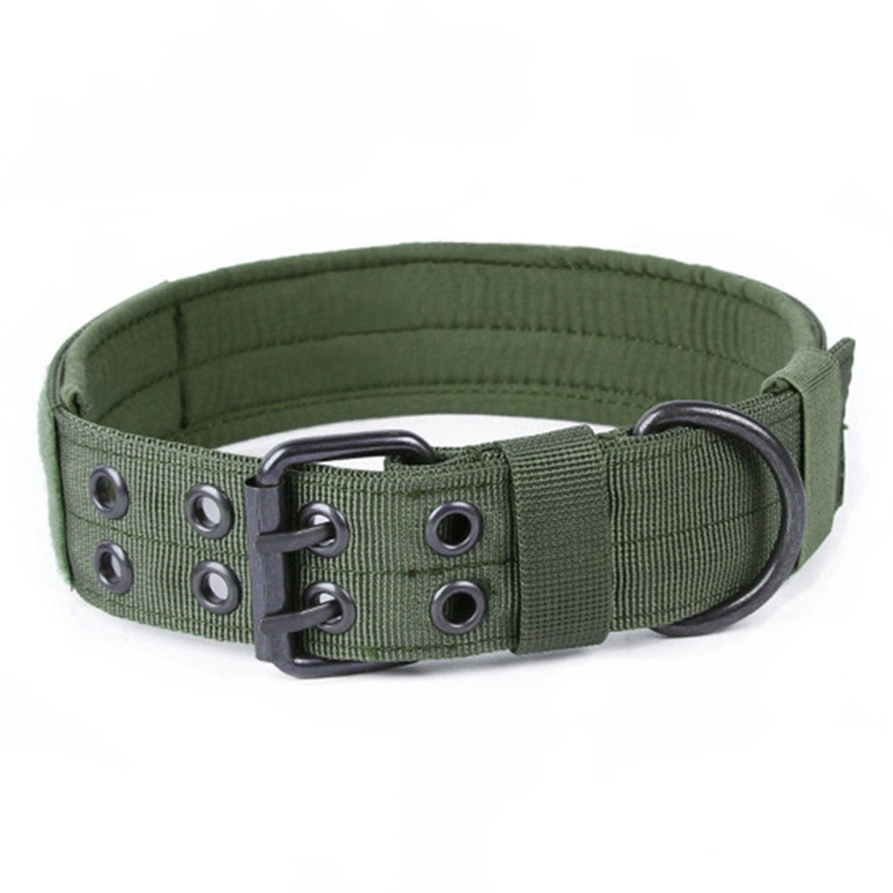 Padded Nylon Dog Collar