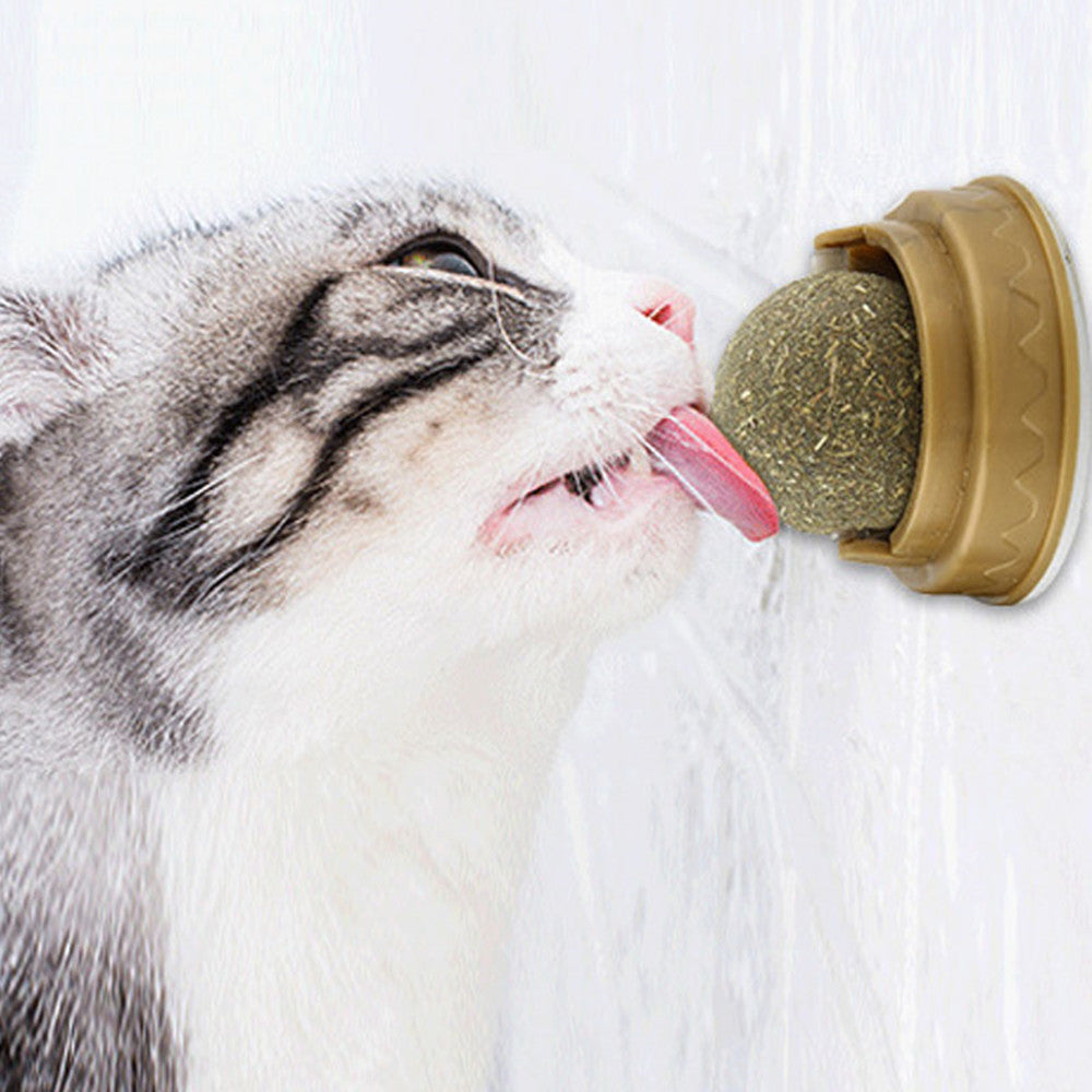 Rotating Catnip Ball