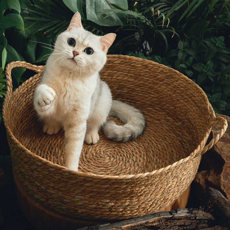 Woven Cattail Cat Bed