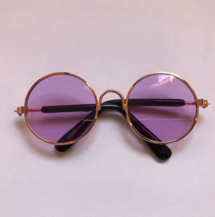 Pet Sunglasses