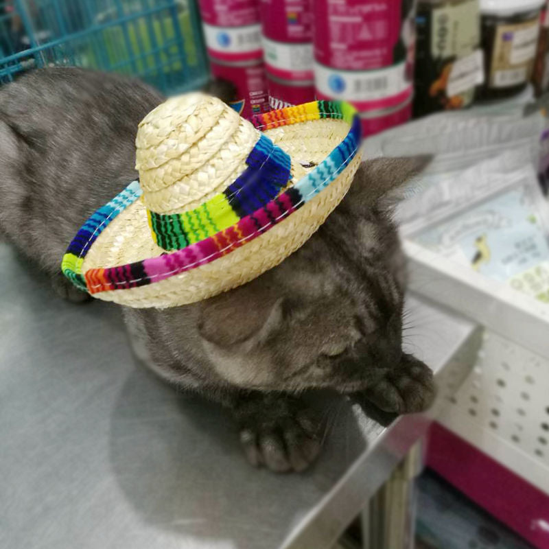 Mini Pet Sombrero Straw Hat