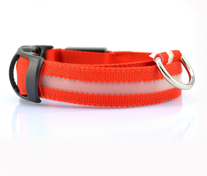 LED Light-Up Dog Collar