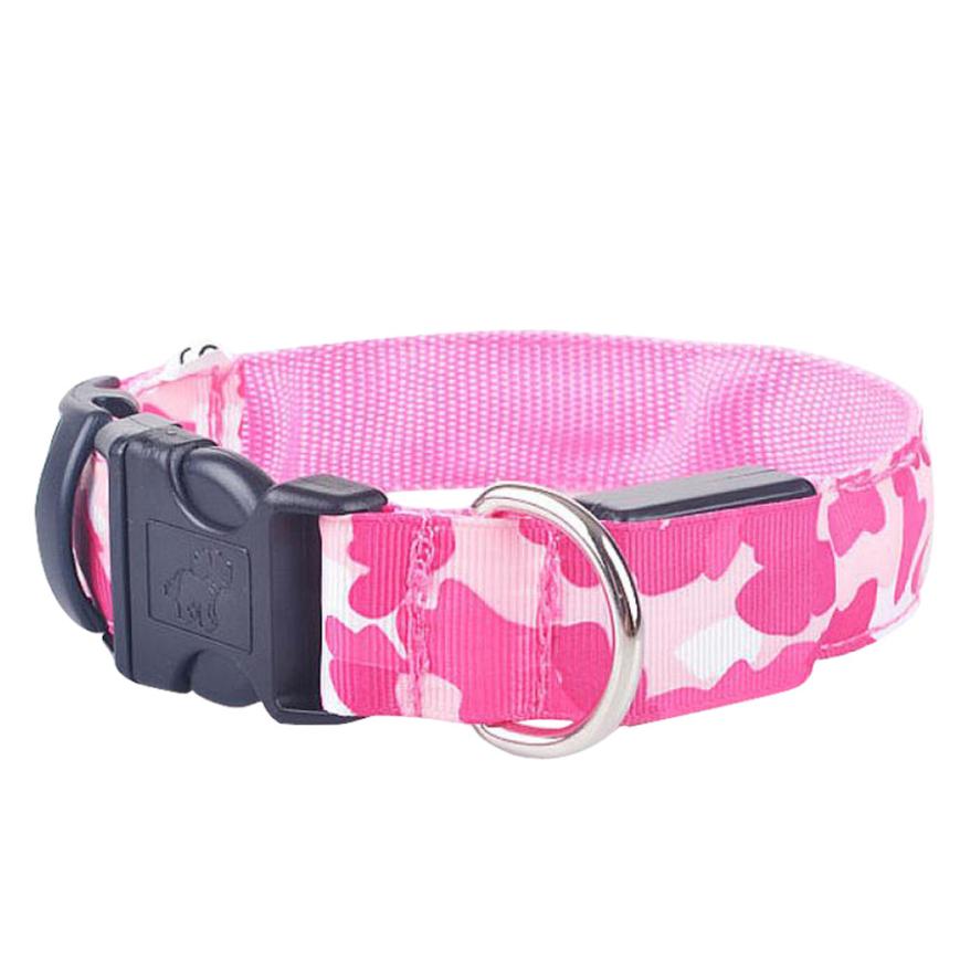 LED Light-Up Dog Collar