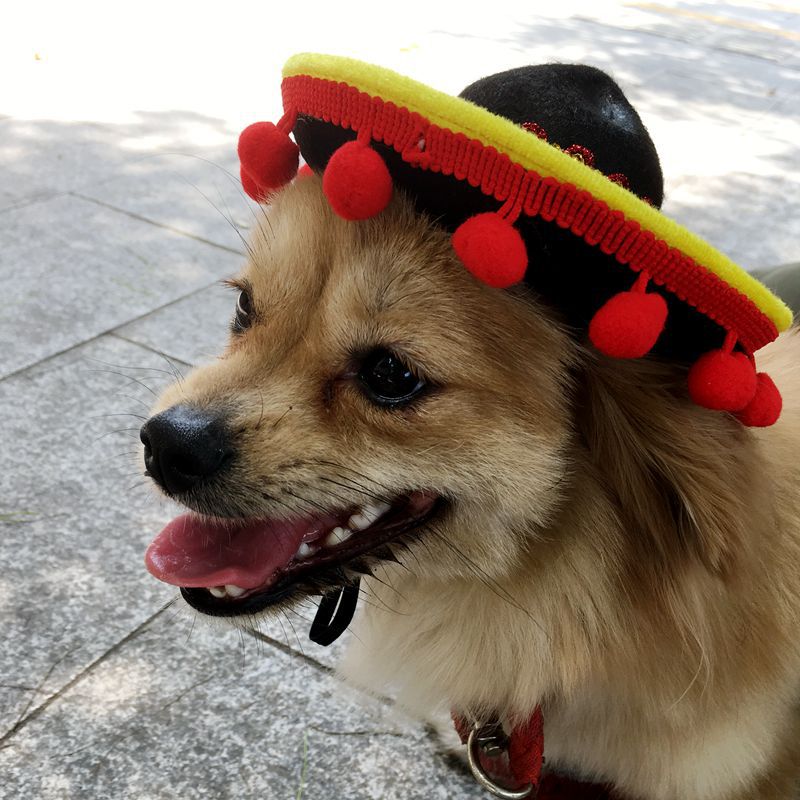 Pet Sombrero Hat