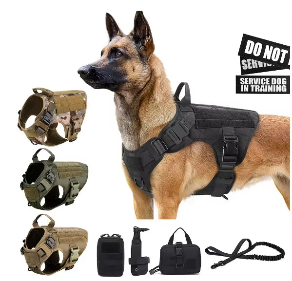 Camo Dog Harness & Leash Set