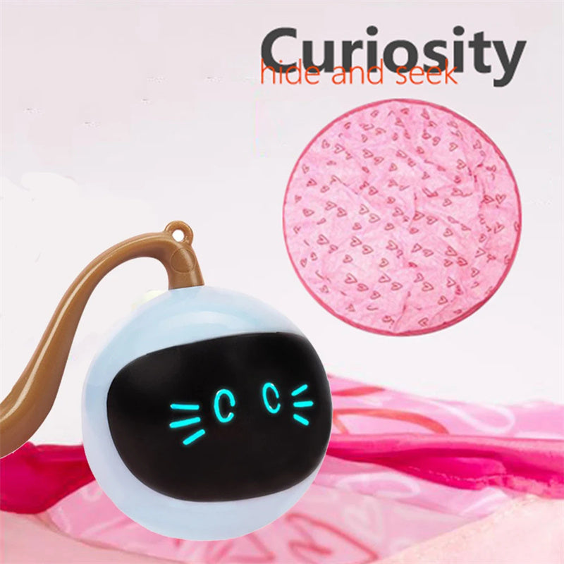 Hide-and-Seek Motion Ball Cat Toy