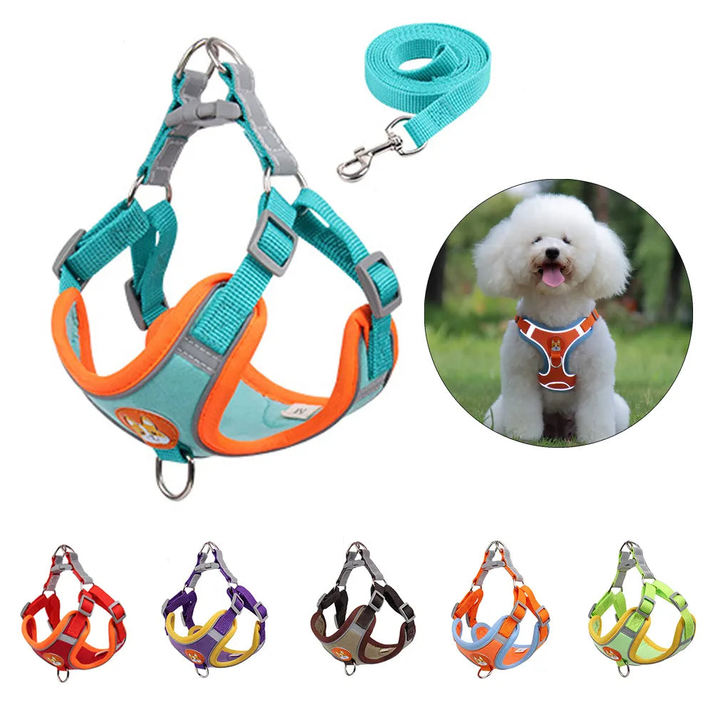 Reflective No-Pull Dog Harness & Leash
