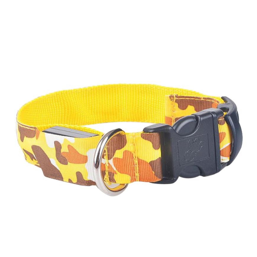 LED Light-Up Dog Collar