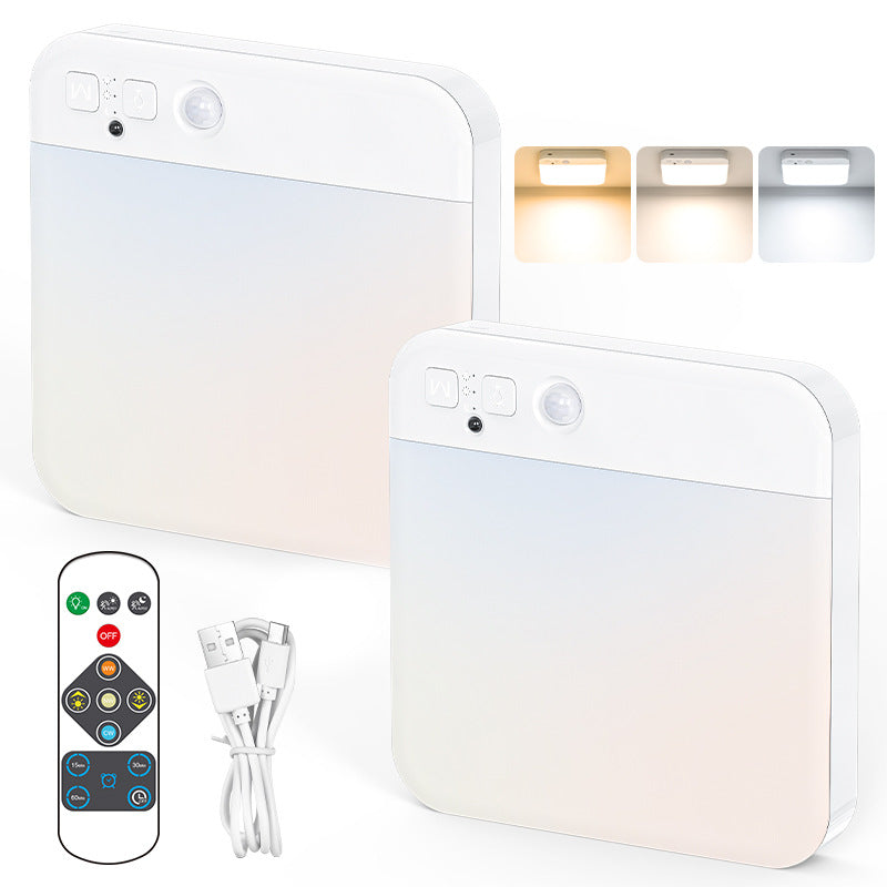 Rechargeable Motion Sensor Ceiling Light