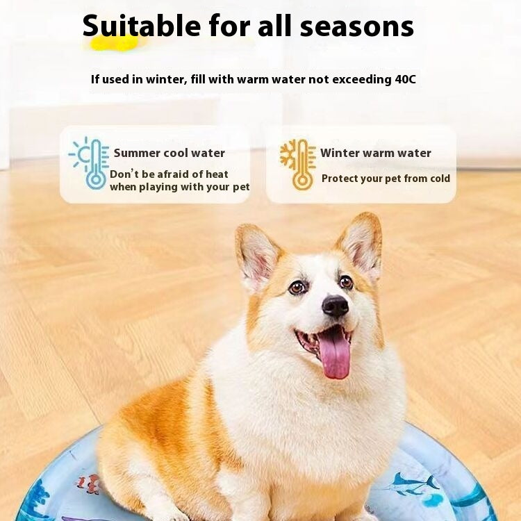 Water Sensory Play Mat for Cats