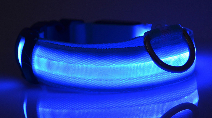 LED Light-Up Dog Collar