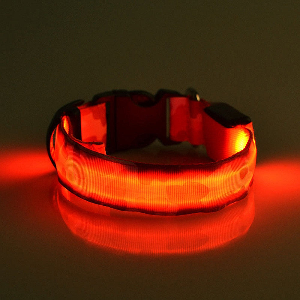 LED Light-Up Dog Collar