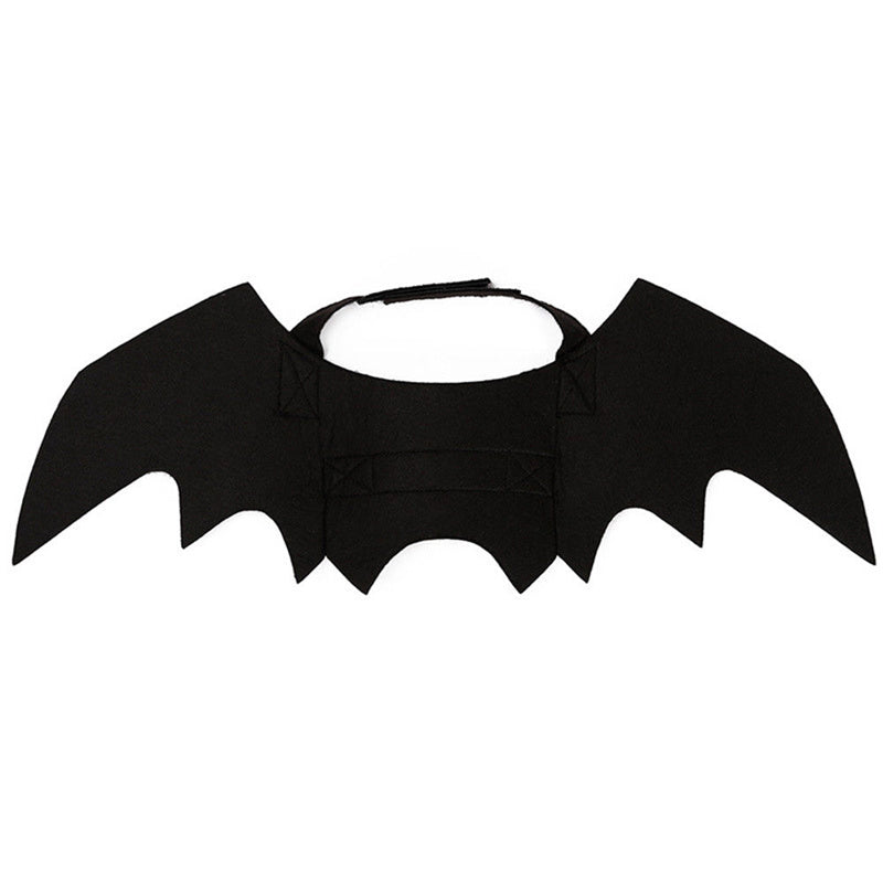 Pet Bat Wings