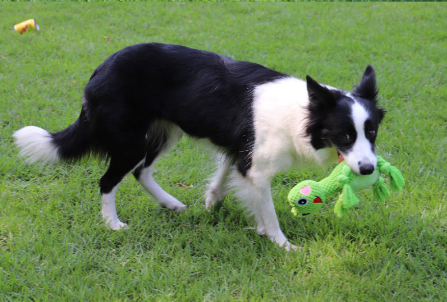 Plush Chew-Resistant Dog Toy