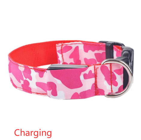 LED Light-Up Dog Collar