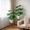 Artificial Monstera Plants (2 pcs)