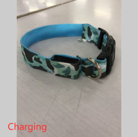 LED Light-Up Dog Collar