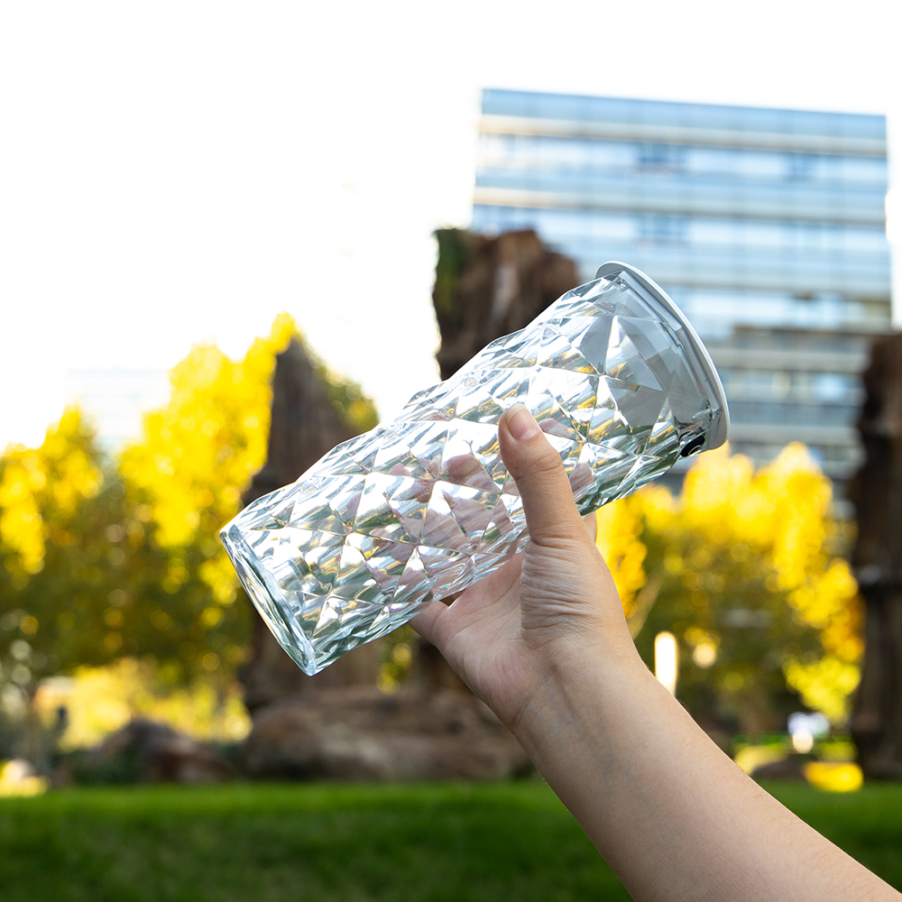 Solar Crystal Rose Garden Light