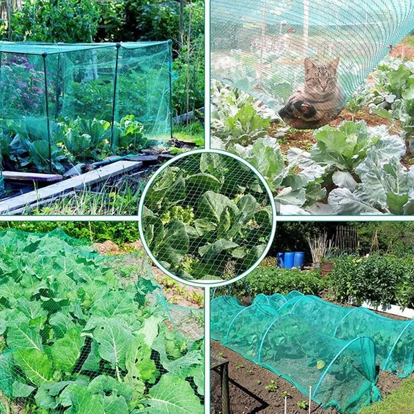 Garden Bird Netting
