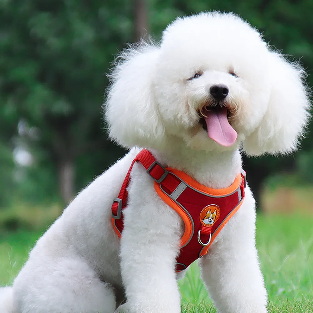 Reflective No-Pull Dog Harness & Leash