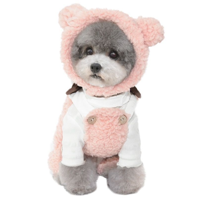 Bear Ear Pet Hood