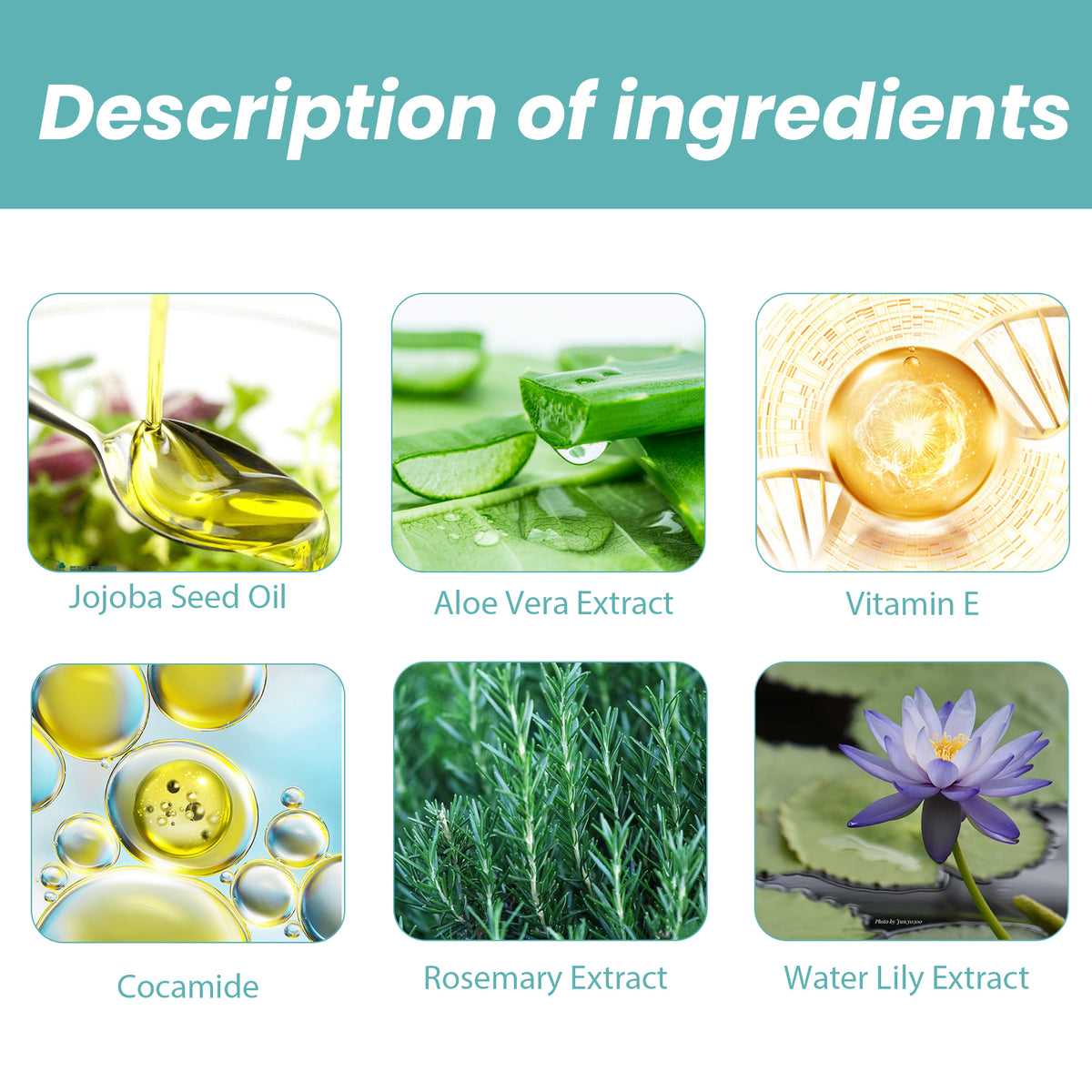 Jojoba & Aloe Shower Oil