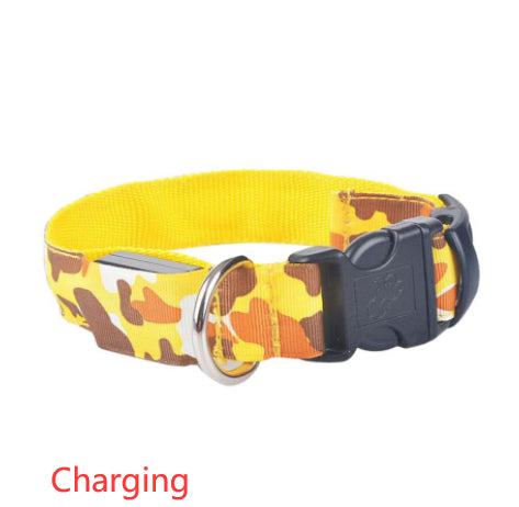 LED Light-Up Dog Collar