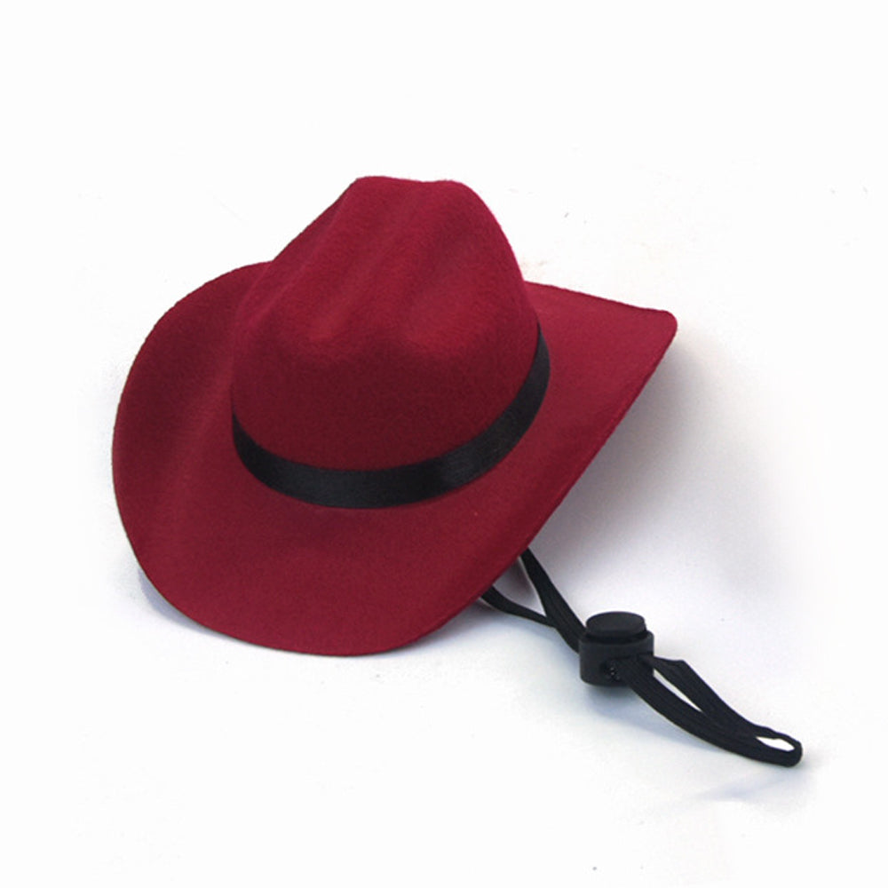 Dog Cowboy Hat
