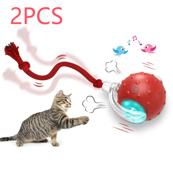 Automatic Rolling Cat Ball