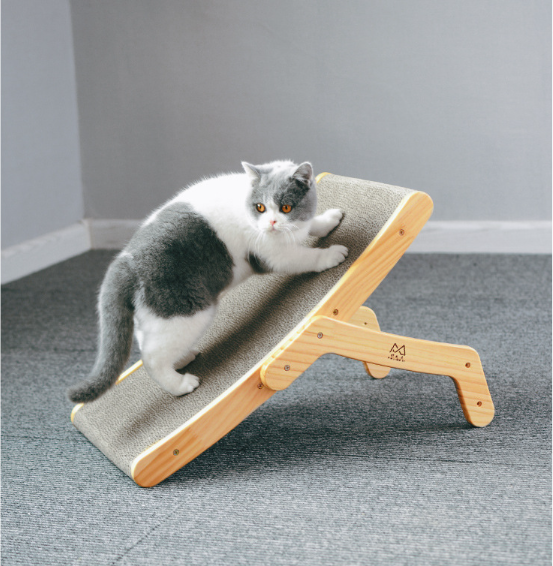 Convertible Cat Scratcher Bed