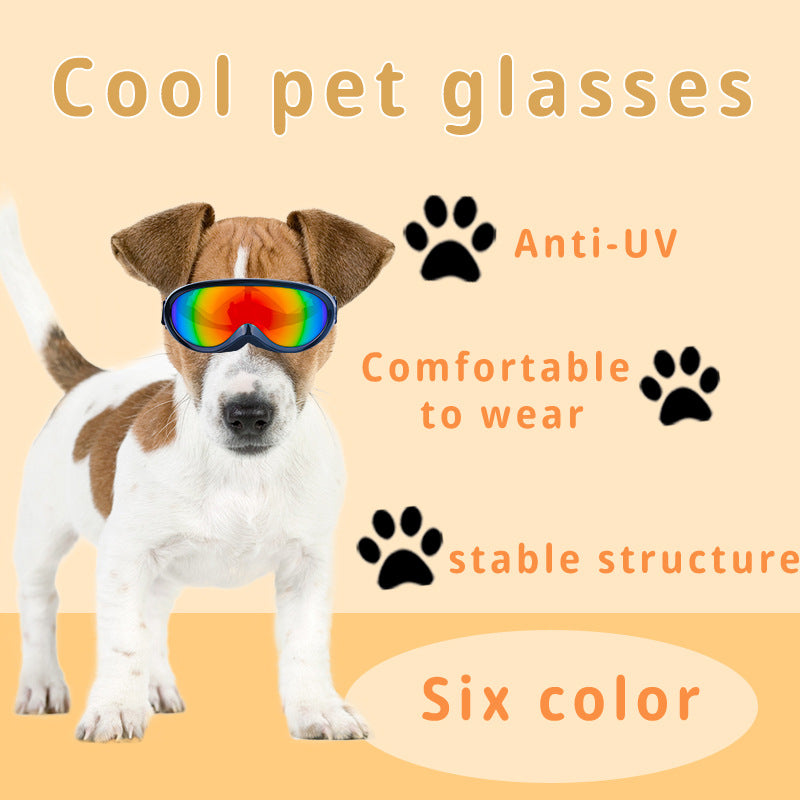 Cool Cat Sunglasses