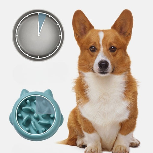 Slow Feeder Dog Bowl