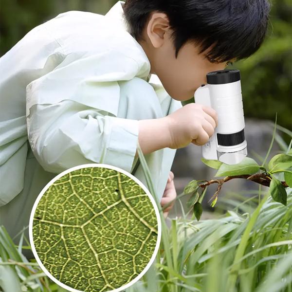 Portable Kids' Microscope