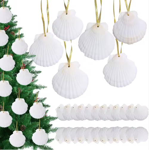 Hanging Scallop Shells for Crafts (24 pcs)