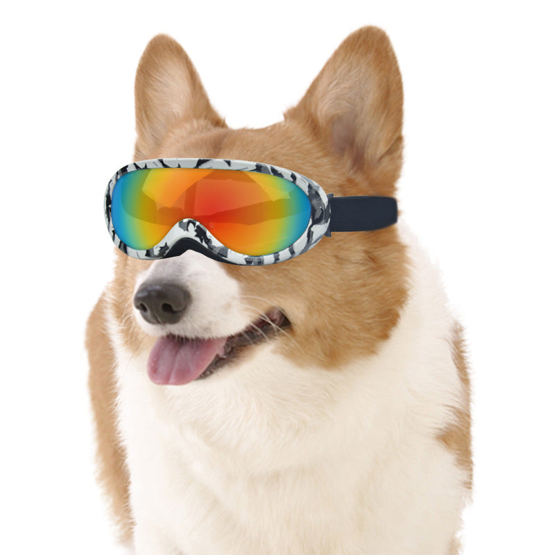 Cool Cat Sunglasses
