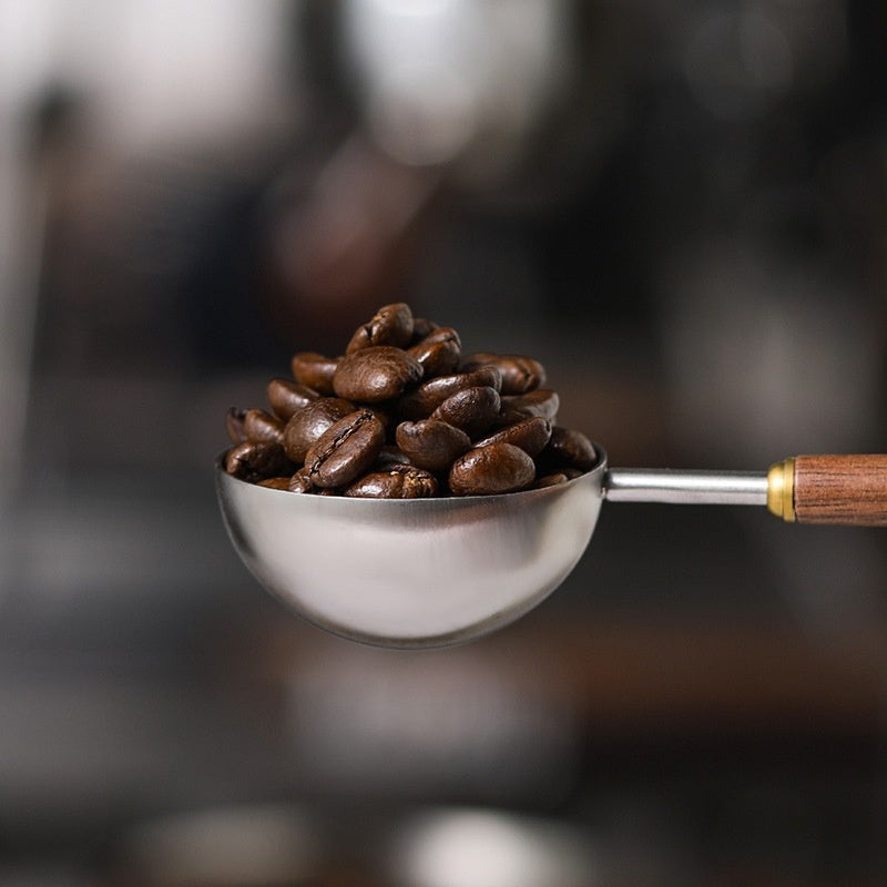 Walnut Handle Coffee Scoop