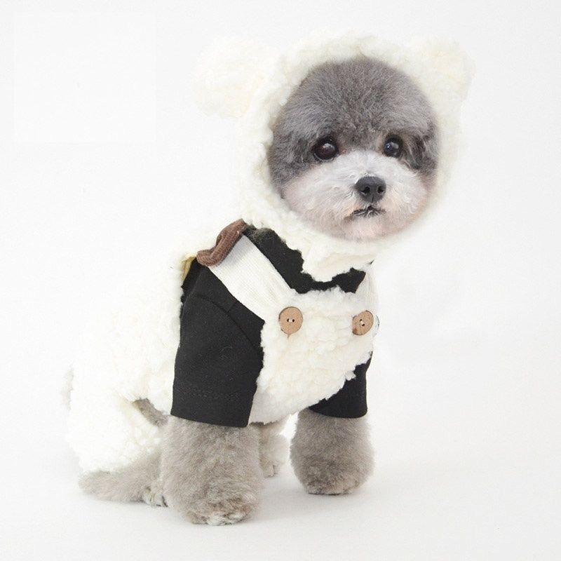 Bear Ear Pet Hood