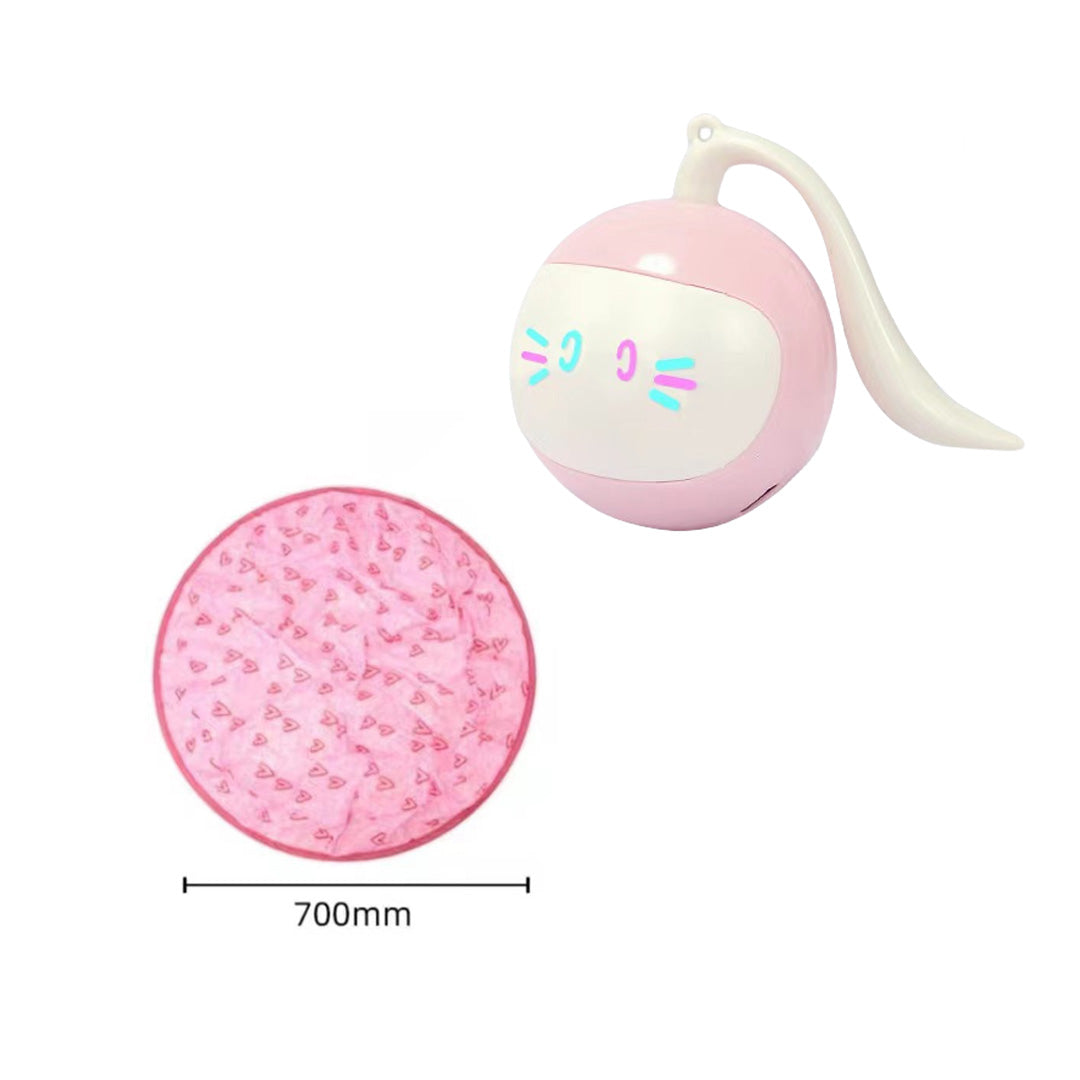 Hide-and-Seek Motion Ball Cat Toy