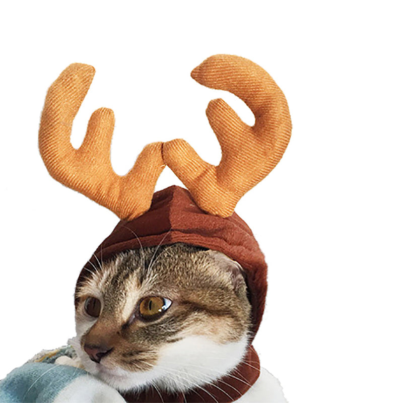 Holiday Pet Costume Cape